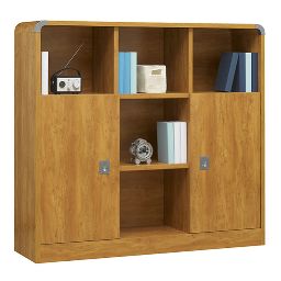 Bookcase 2 doors