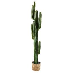 Künstlicher Gartenkaktus im Topf - Grün - 29.5x161.5x29cm - Maisons du Monde